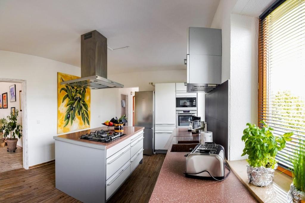 Ferienwohnung Finke 2 FDH Екстериор снимка